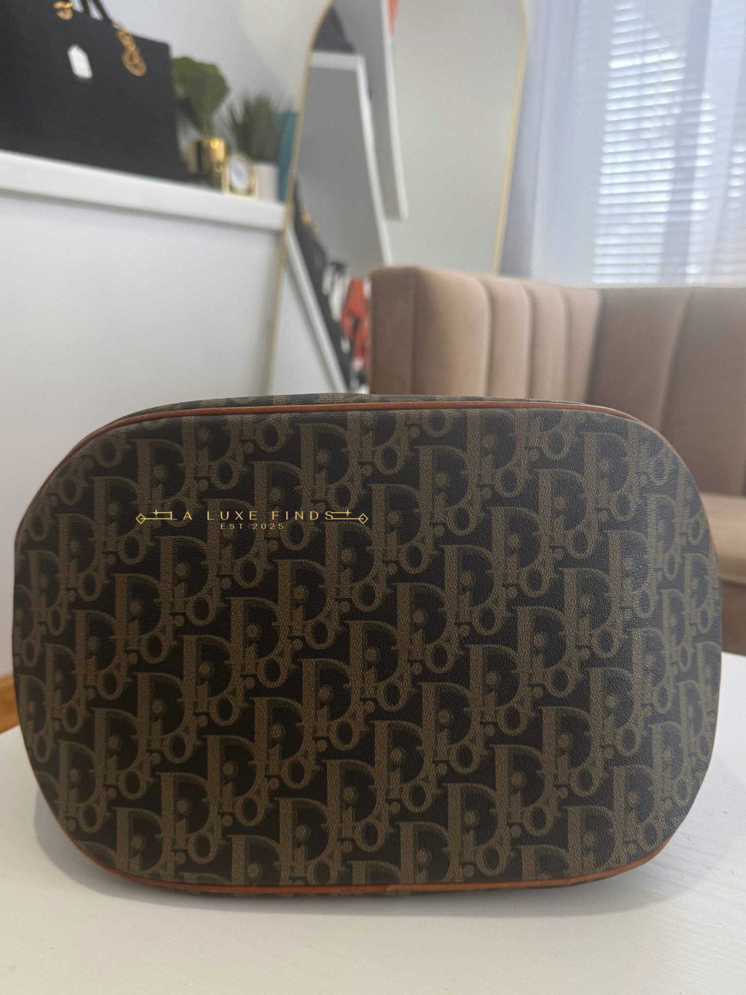 DIOR Vintage Trotter Bucket Bag