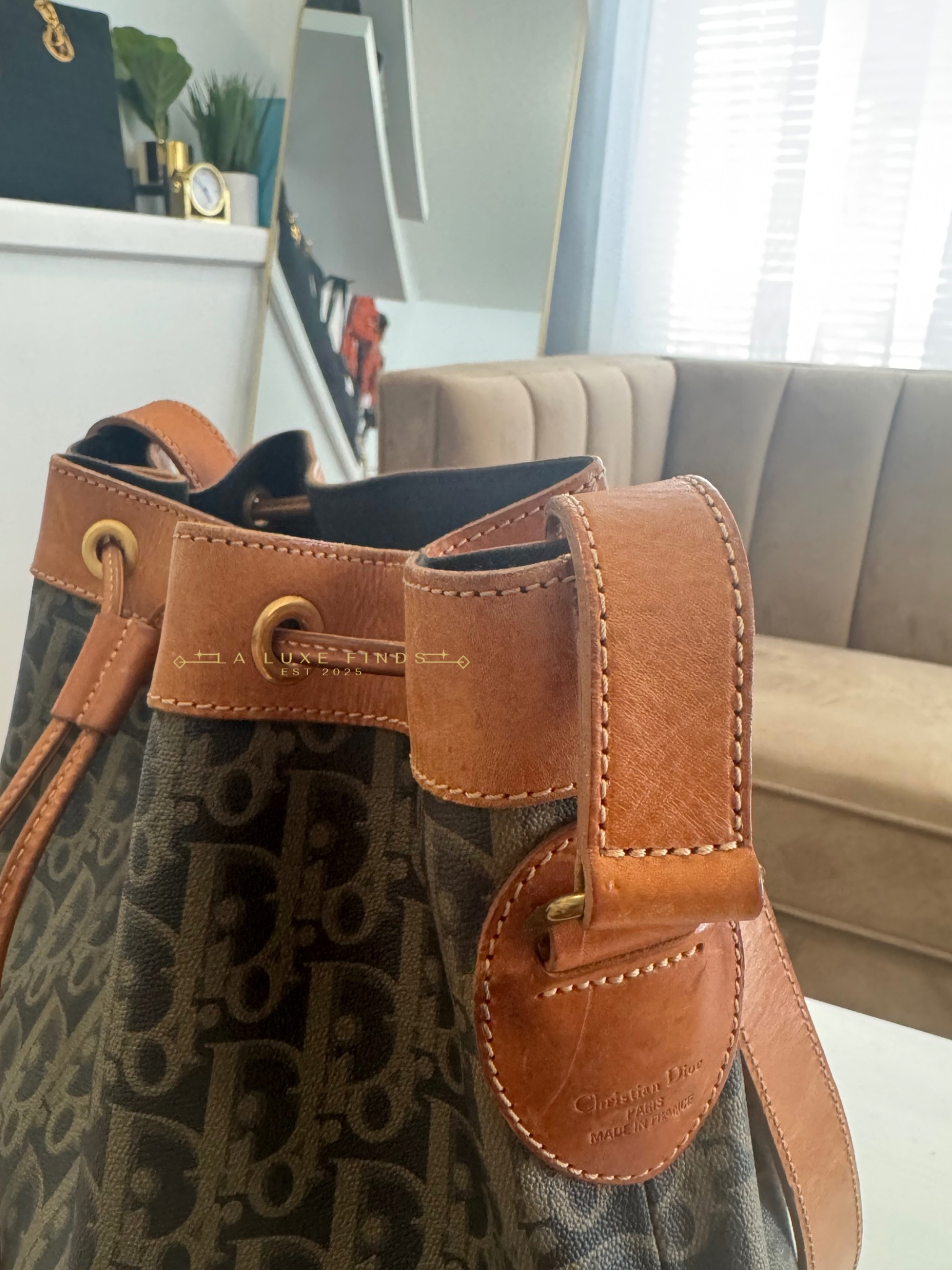 DIOR Vintage Trotter Bucket Bag