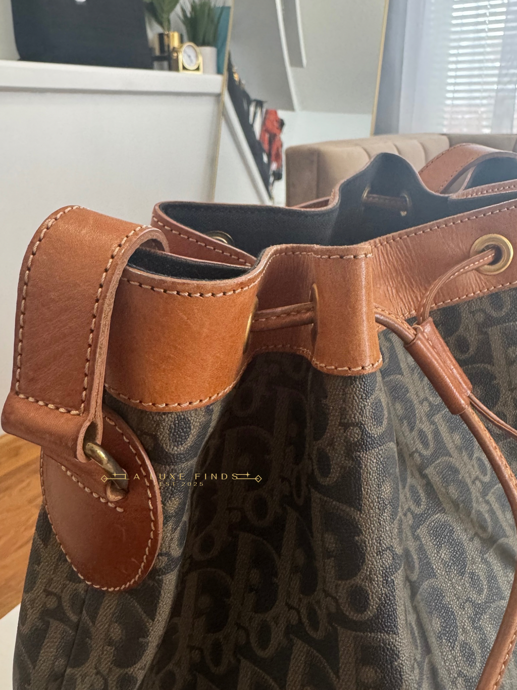 DIOR Vintage Trotter Bucket Bag