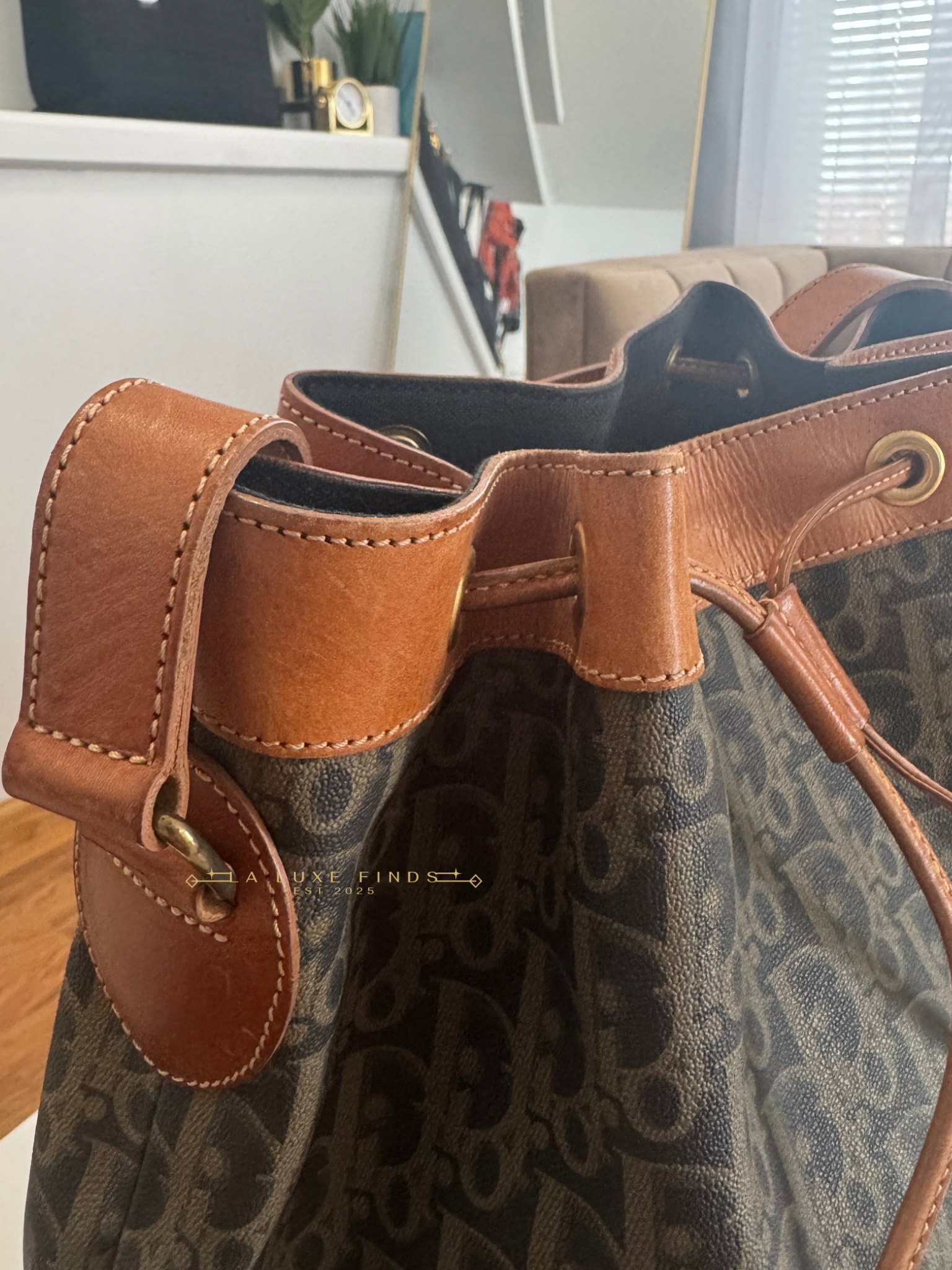 DIOR Vintage Trotter Bucket Bag
