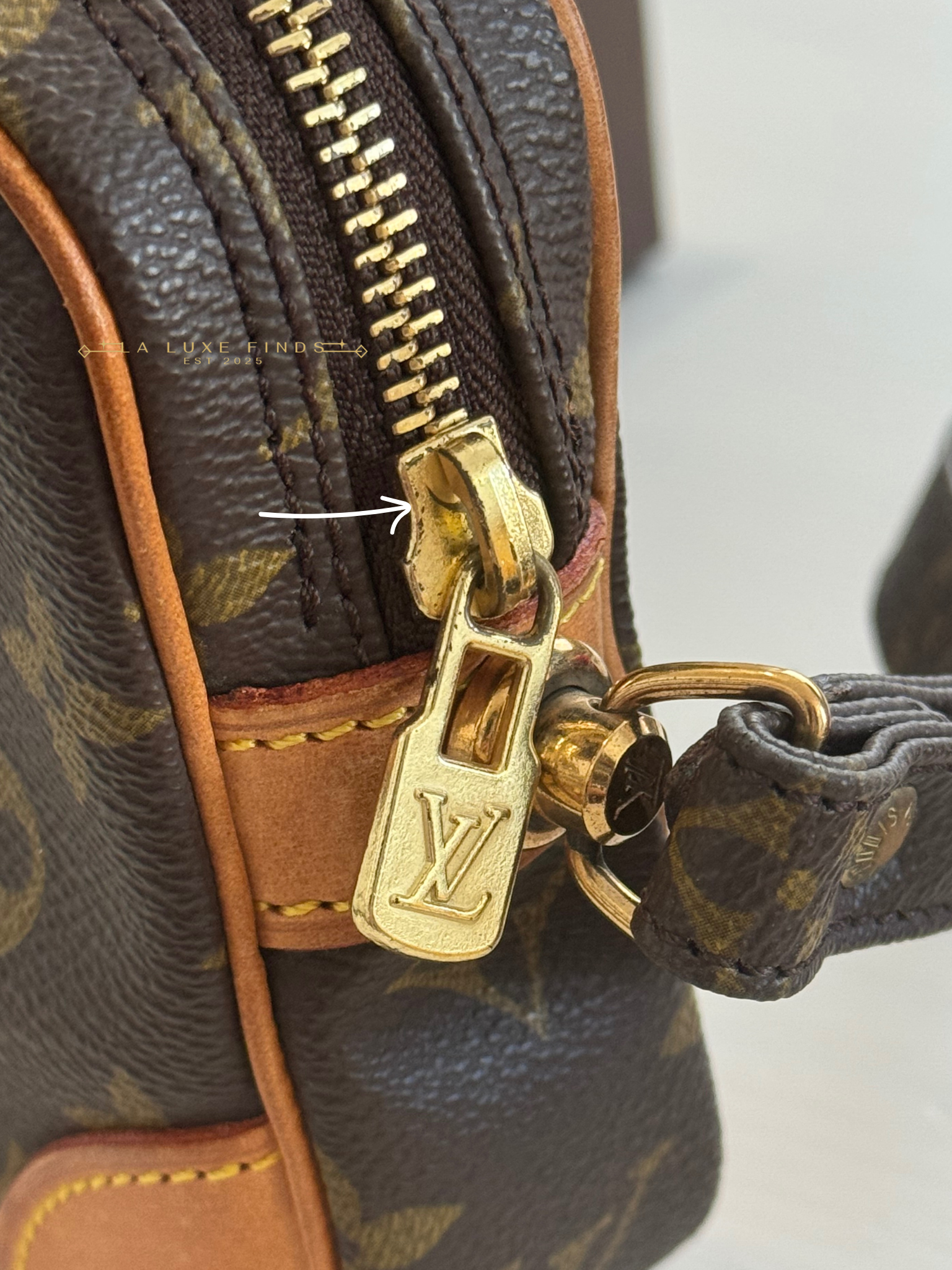 LOUIS VUITTON Marly Dragonne PM Clutch