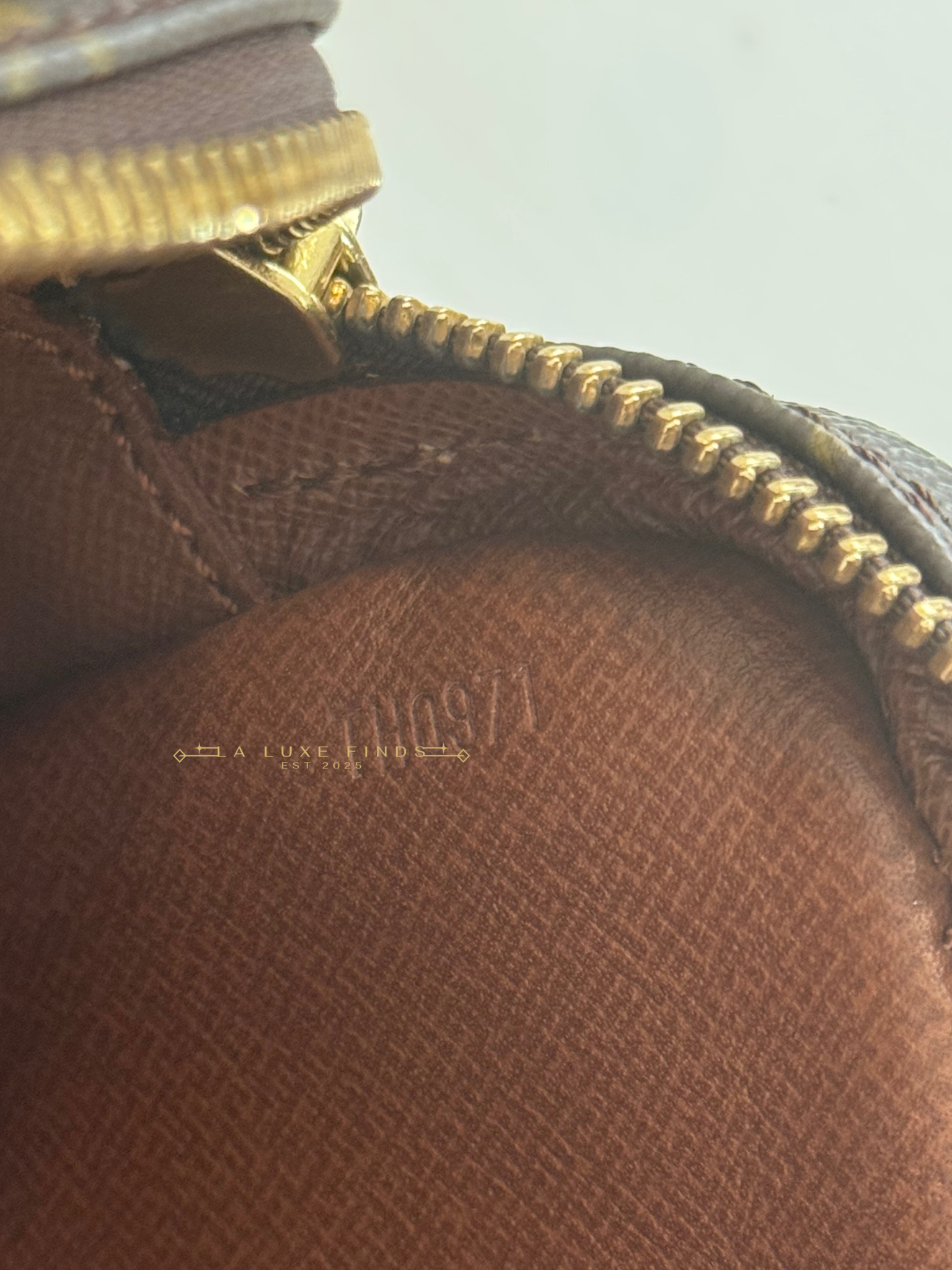 LOUIS VUITTON Marly Dragonne PM Clutch