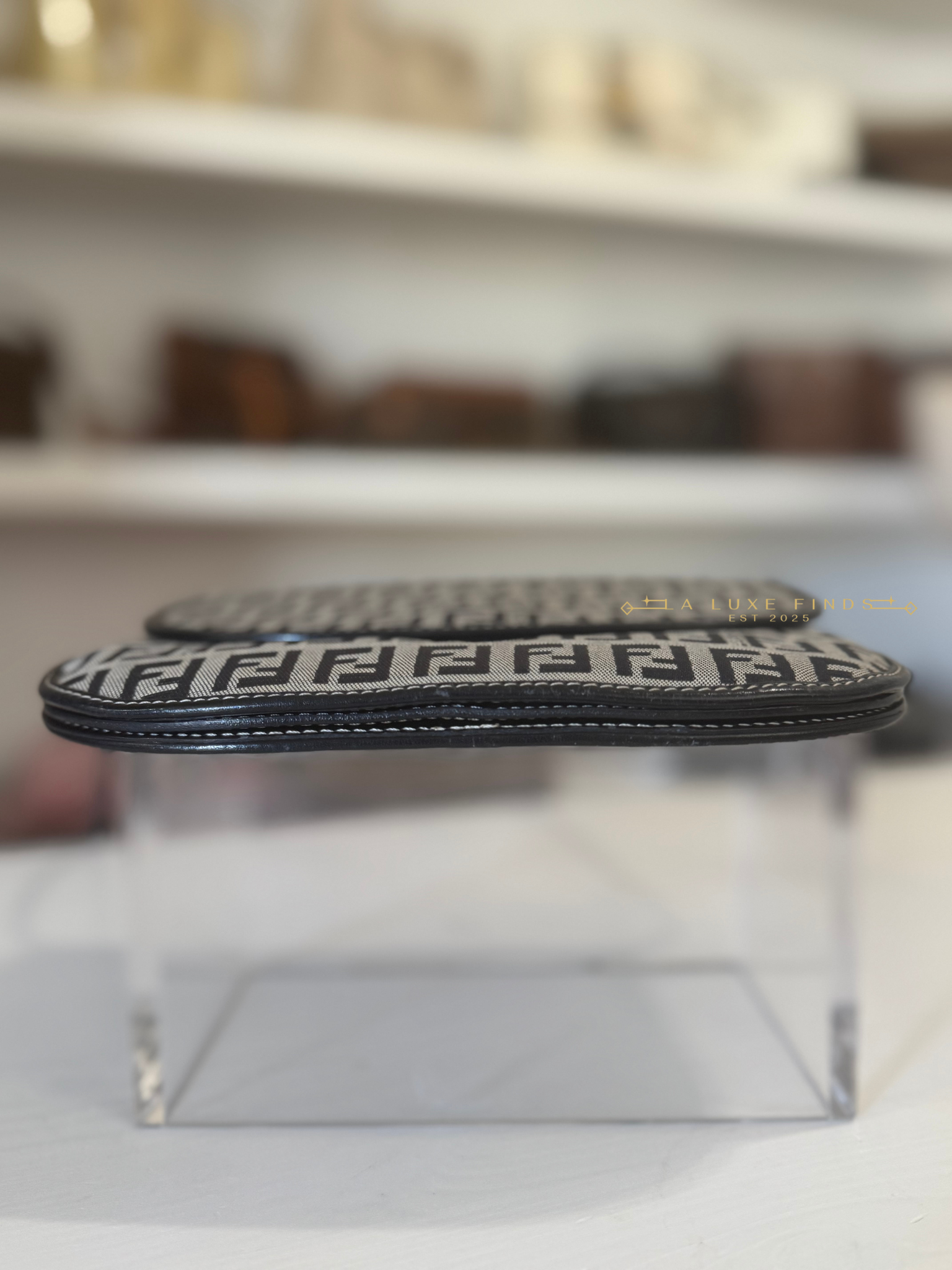 FENDI Zucca Two Way Bag