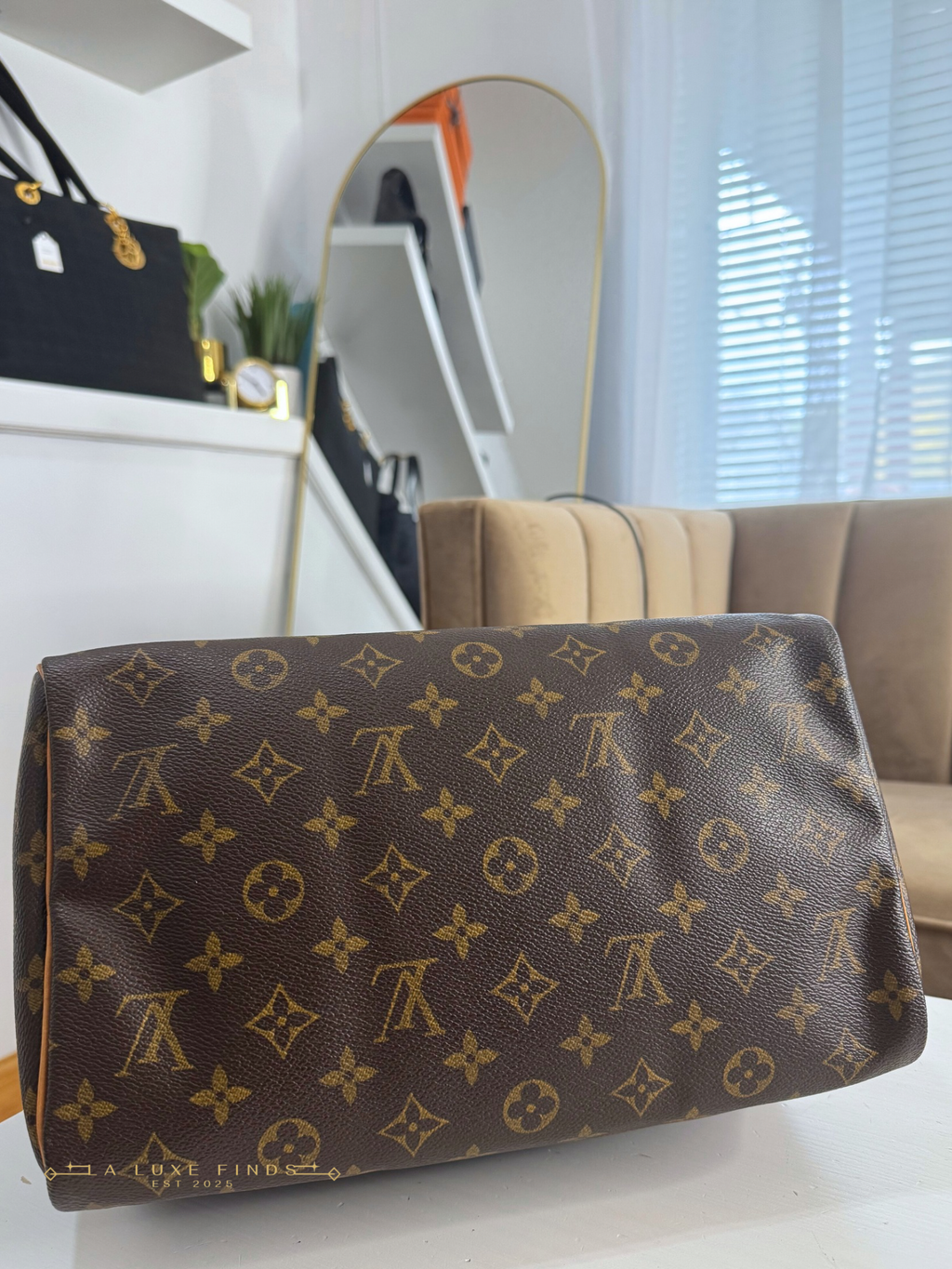 LOUIS VUITTON Monogram Speedy 30