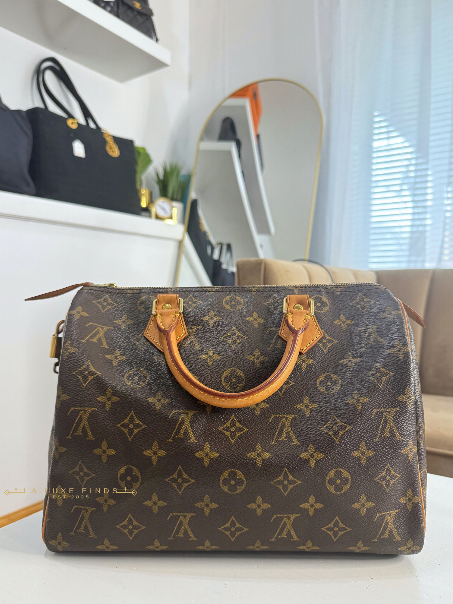 LOUIS VUITTON Monogram Speedy 30