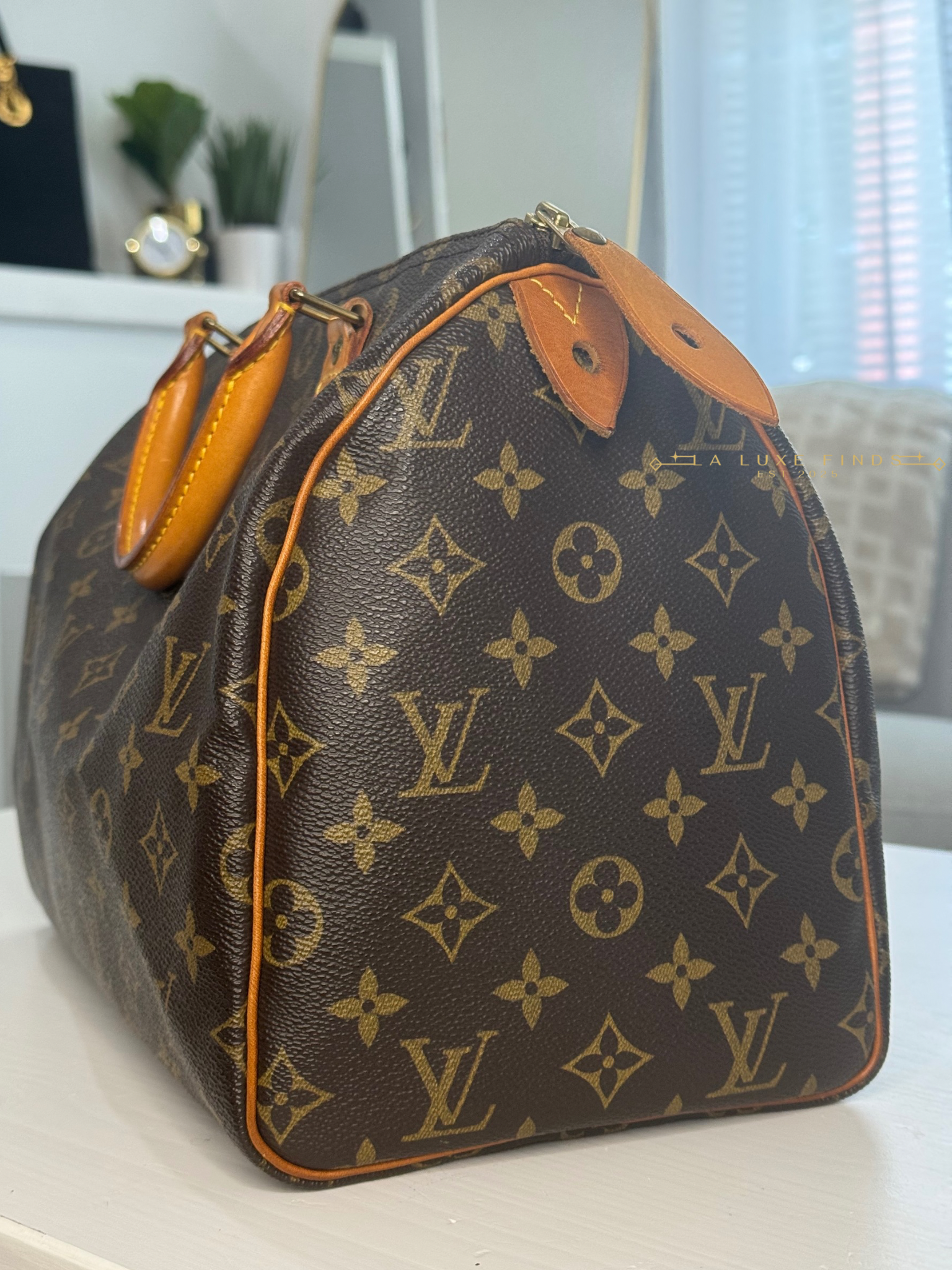 LOUIS VUITTON Monogram Speedy 30