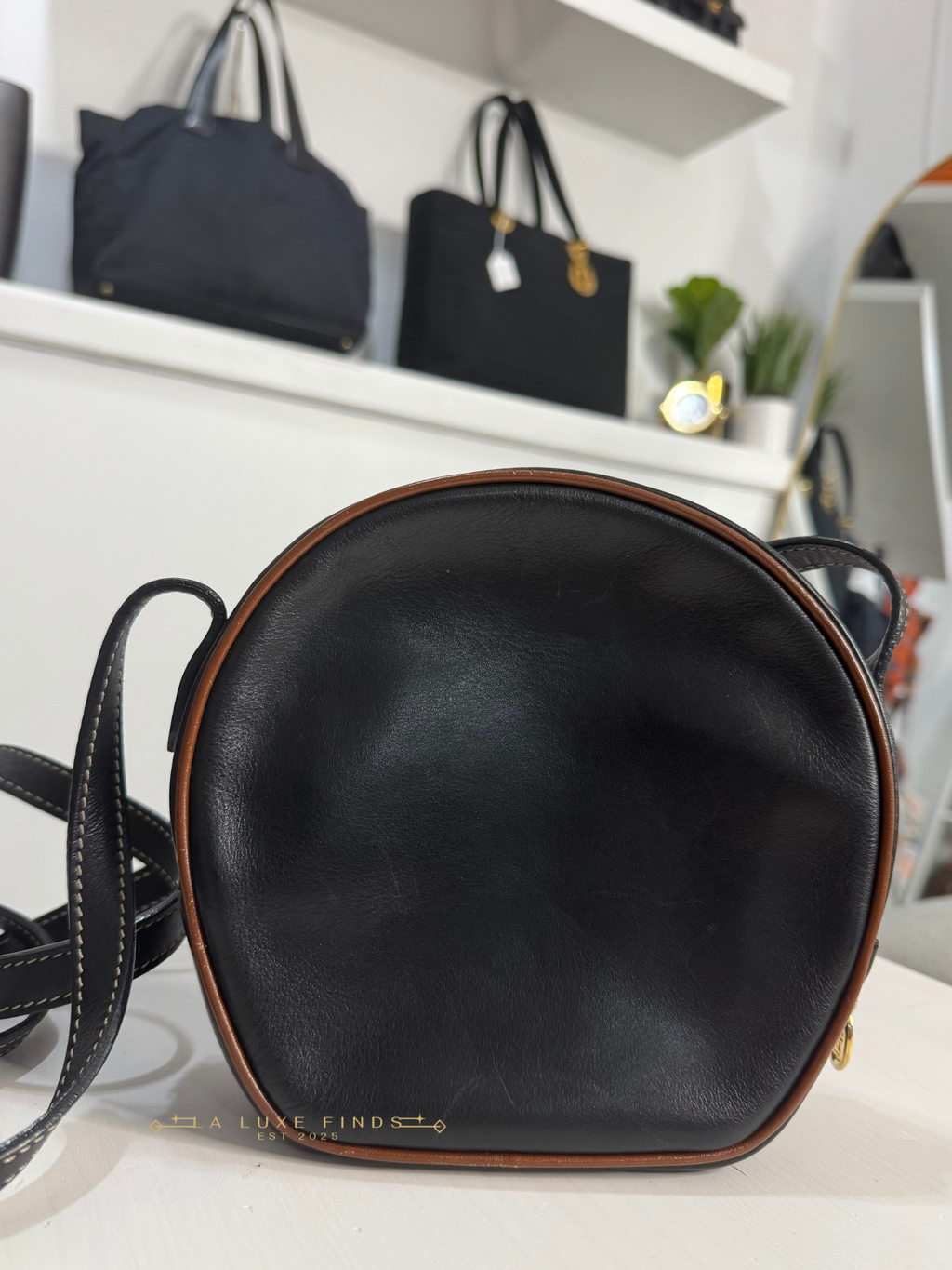 CELINE Half Moon Crossbody Bag