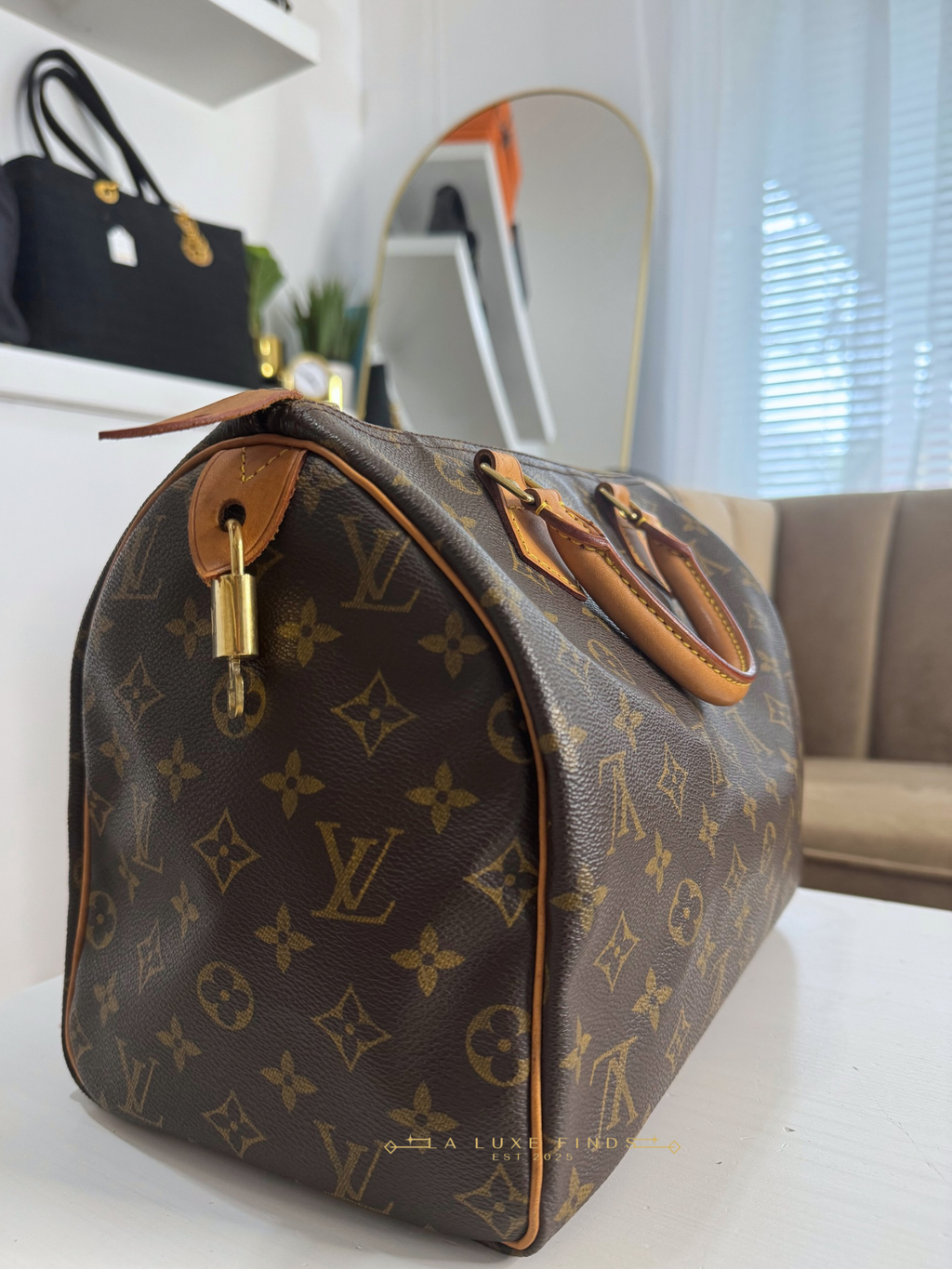 LOUIS VUITTON Monogram Speedy 30