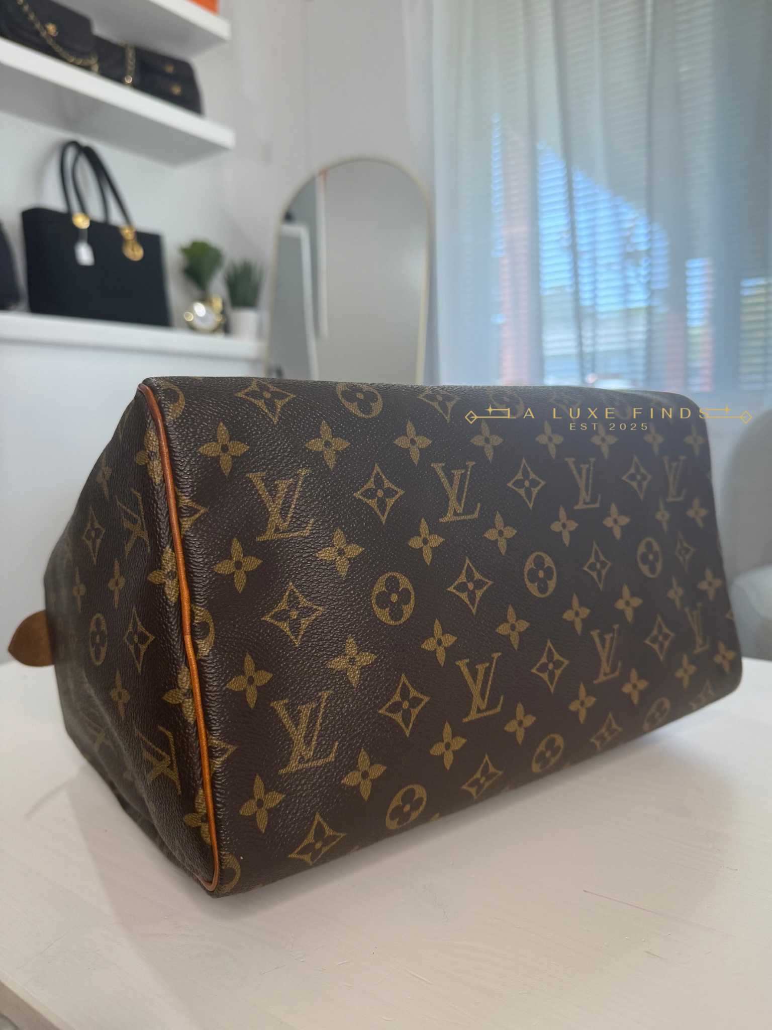LOUIS VUITTON Monogram Speedy 30