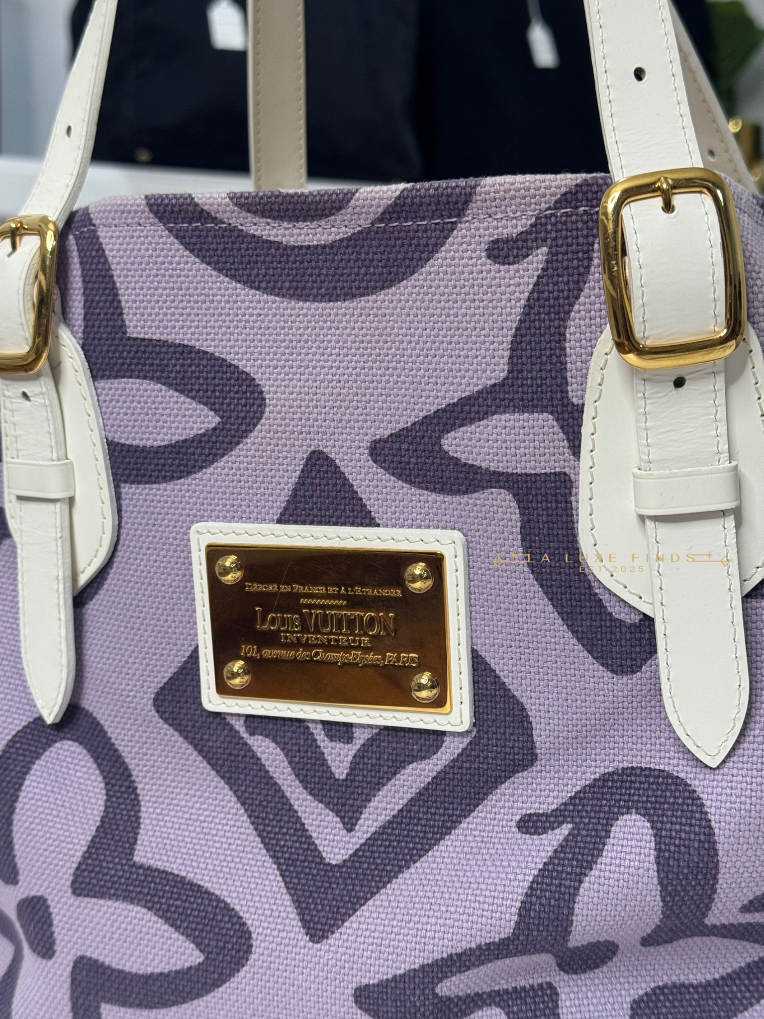 LOUIS VUITTON Tahitienne Cabas PM