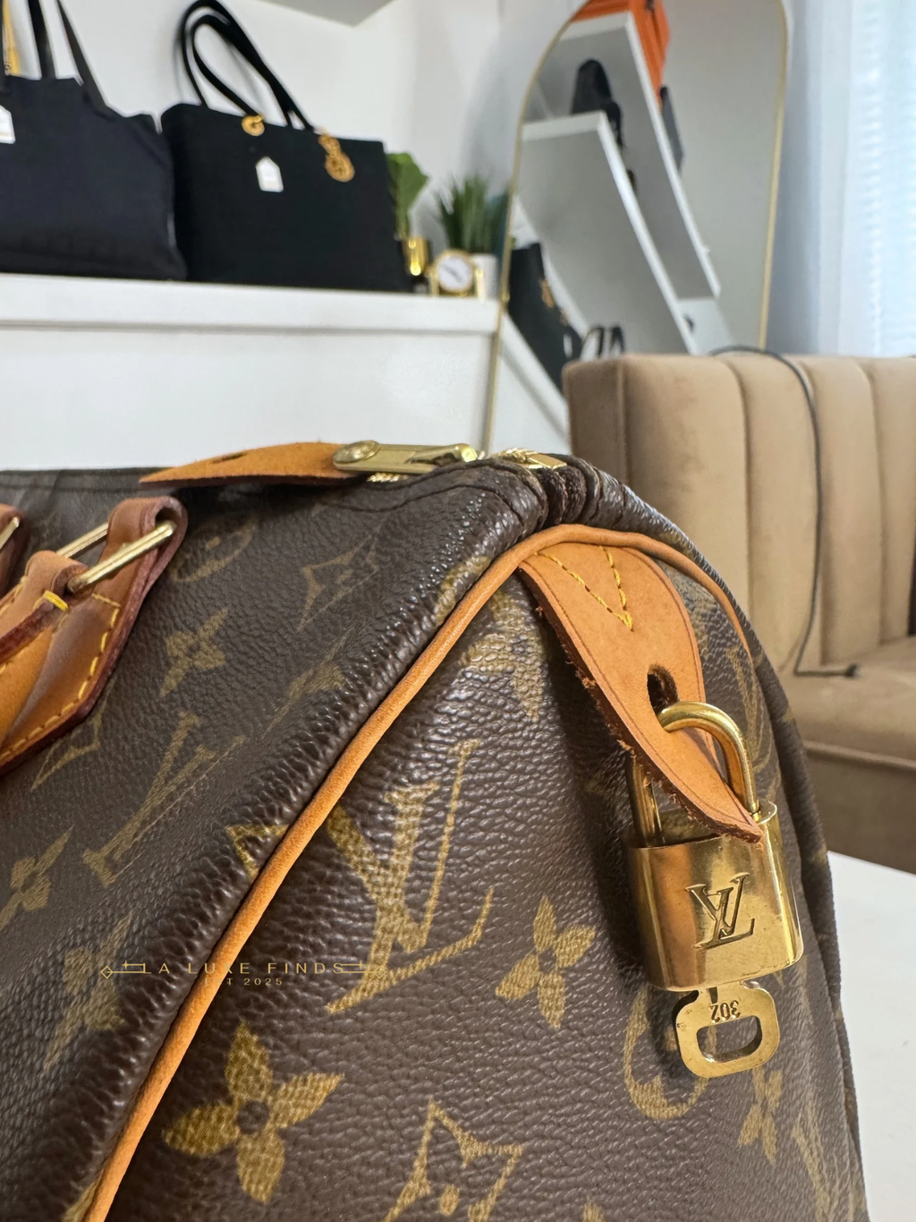 LOUIS VUITTON Monogram Speedy 30