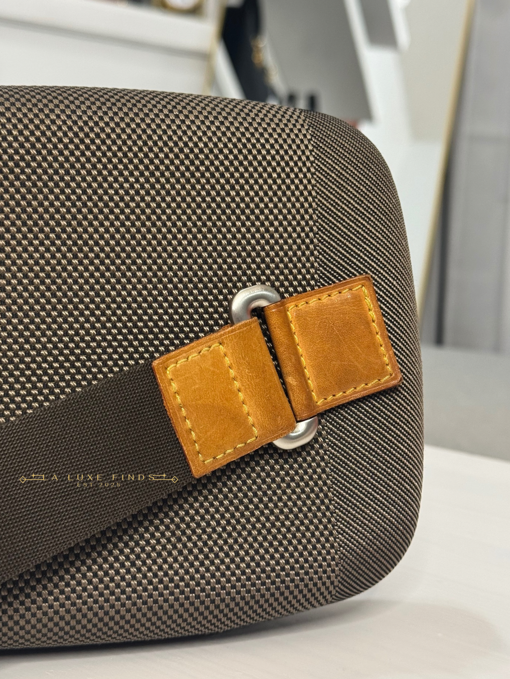 LOUIS VUITTON Damier Geant Mage Body Bag