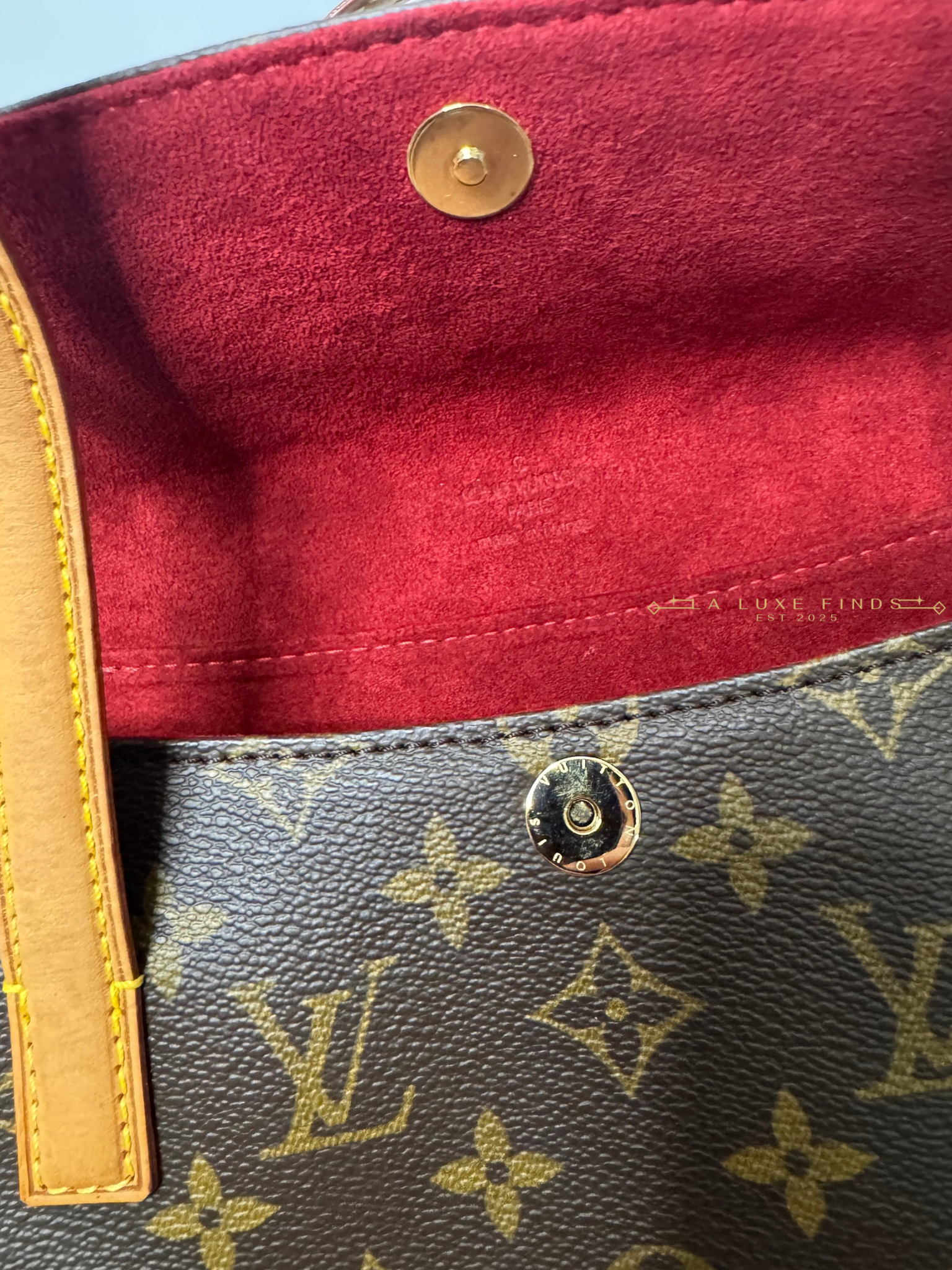 LOUIS VUITTON Sonatine Monogram Handbag