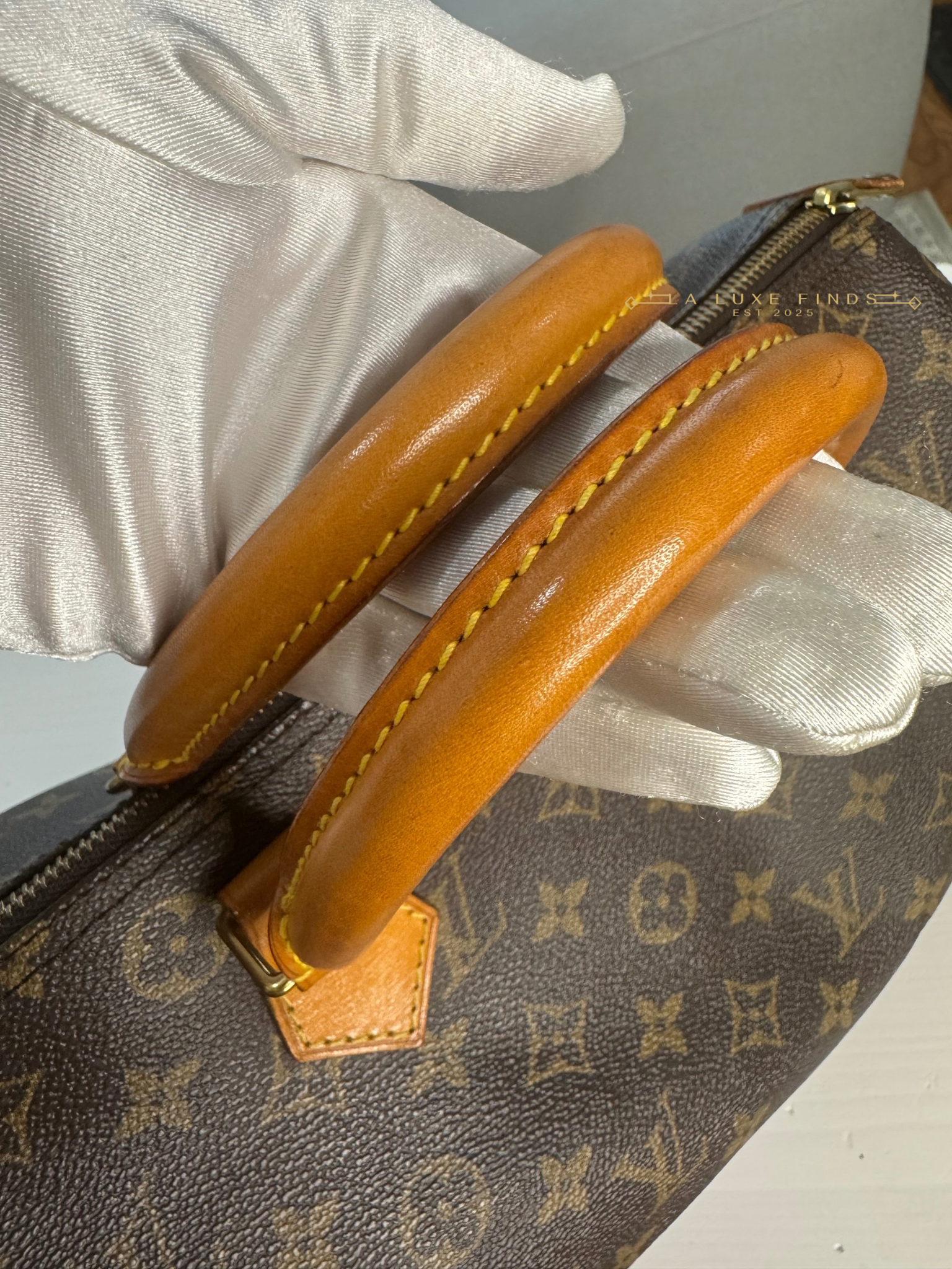 LOUIS VUITTON Monogram Speedy 30