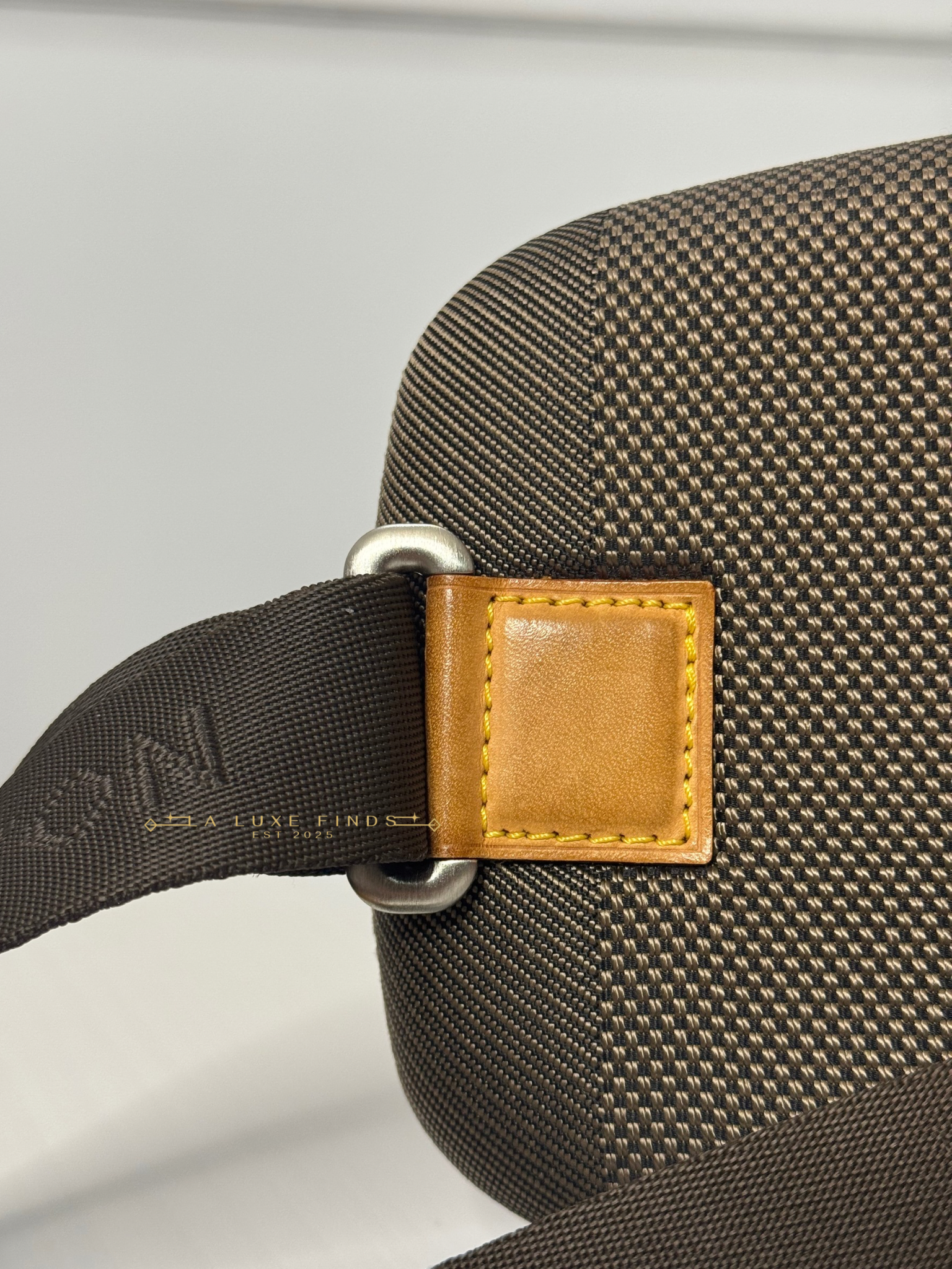 LOUIS VUITTON Damier Geant Mage Body Bag