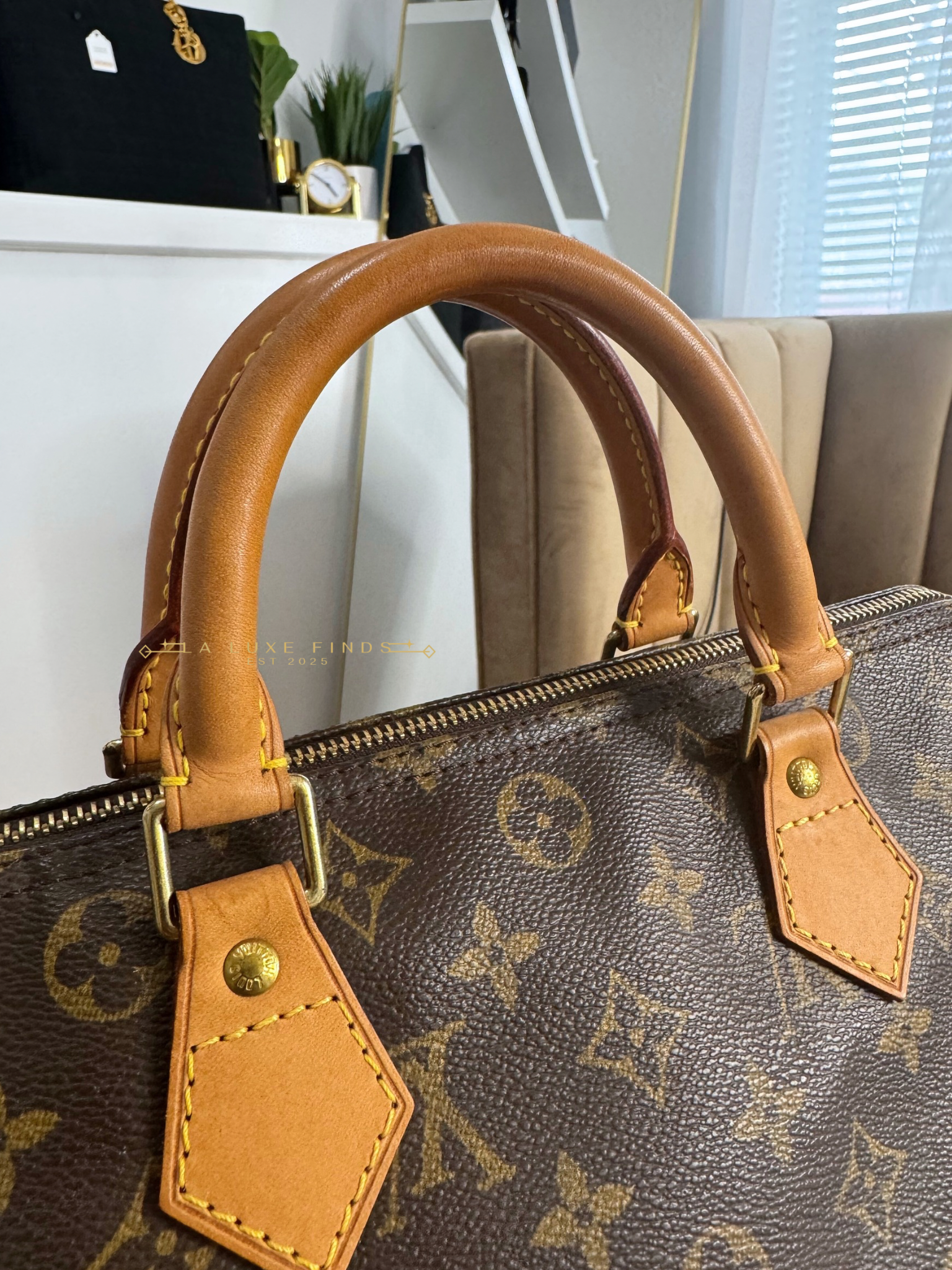 LOUIS VUITTON Monogram Speedy 30