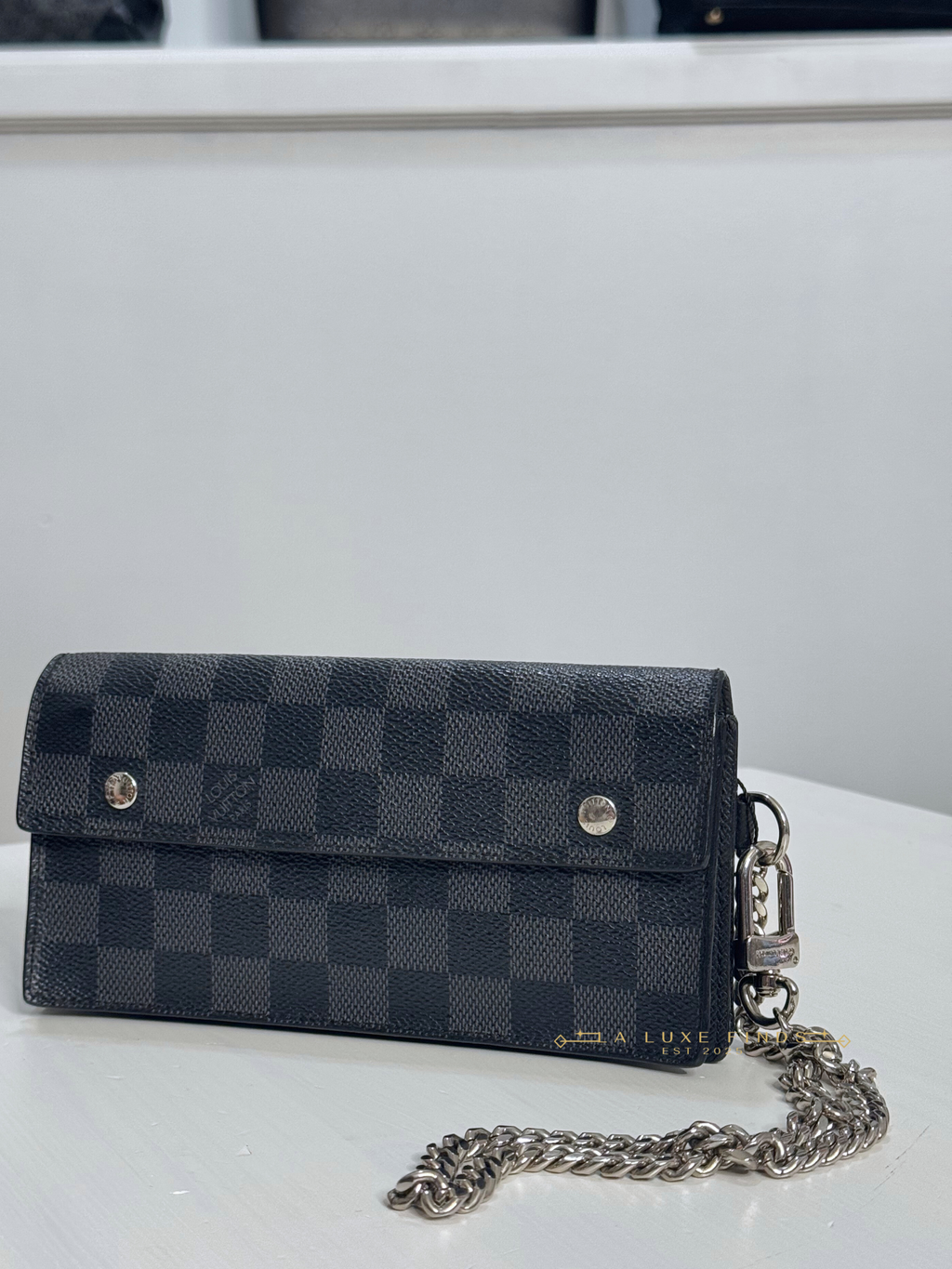 LOUIS VUITTON Graphite Accordion