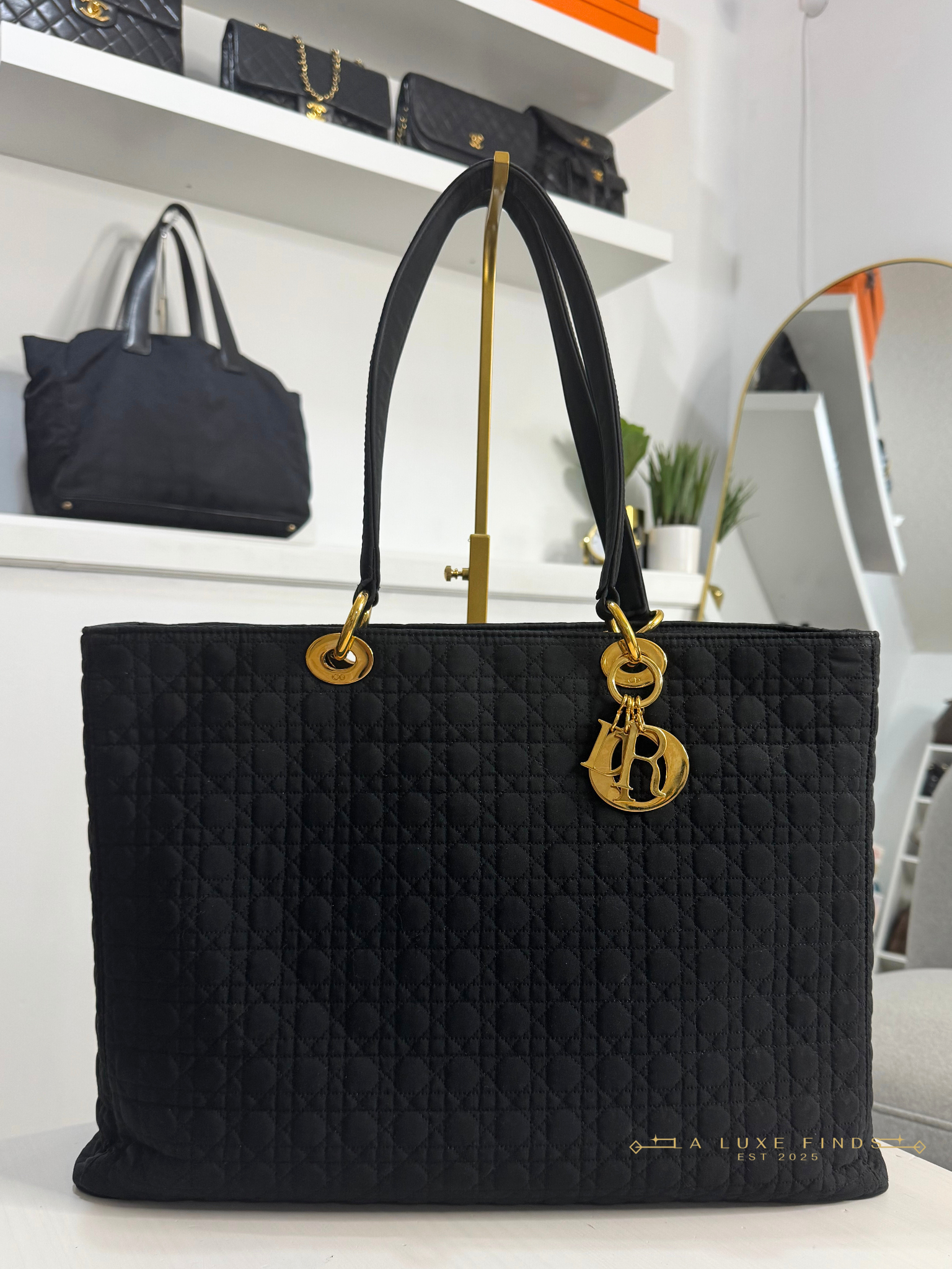 DIOR Lady Cannage Tote Bag