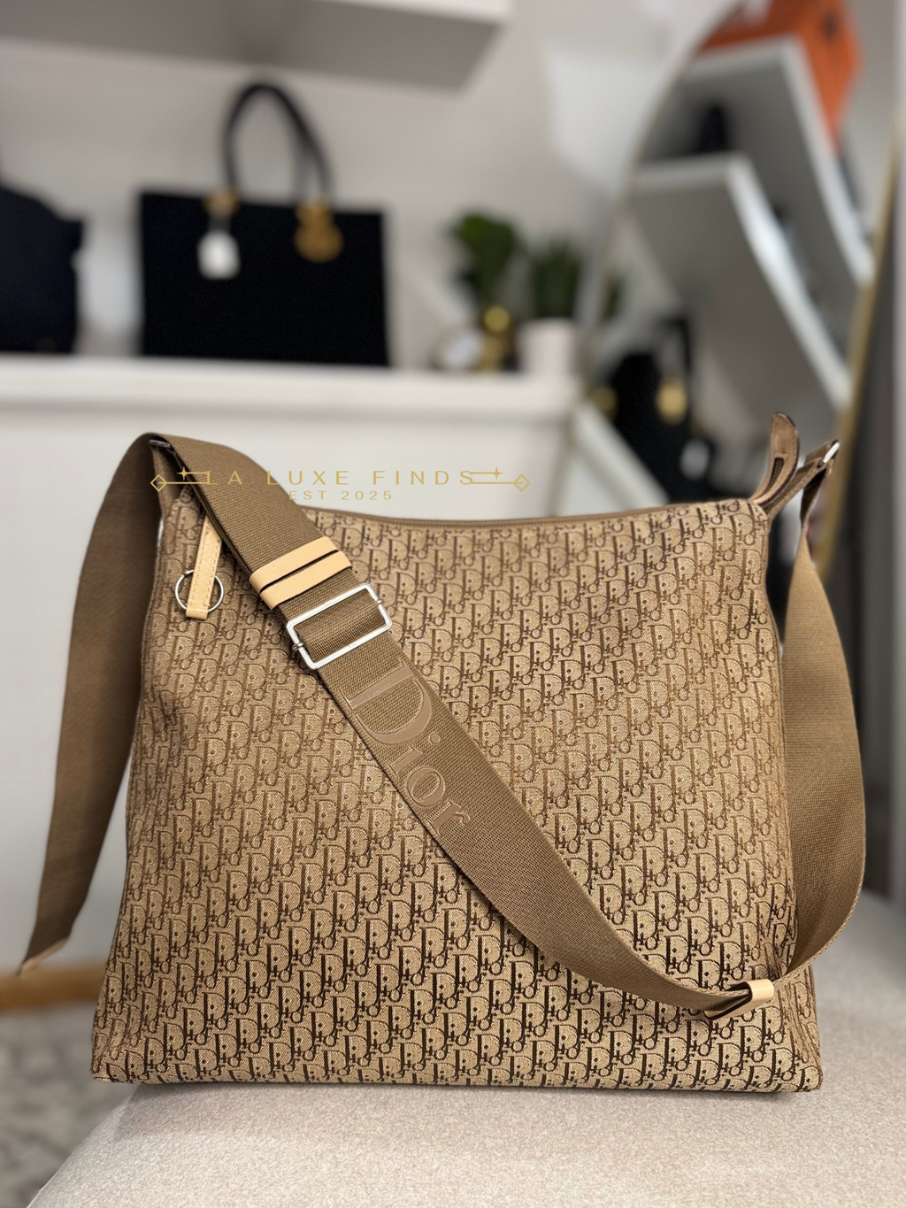 DIOR Vintage Trotter Messenger Bag