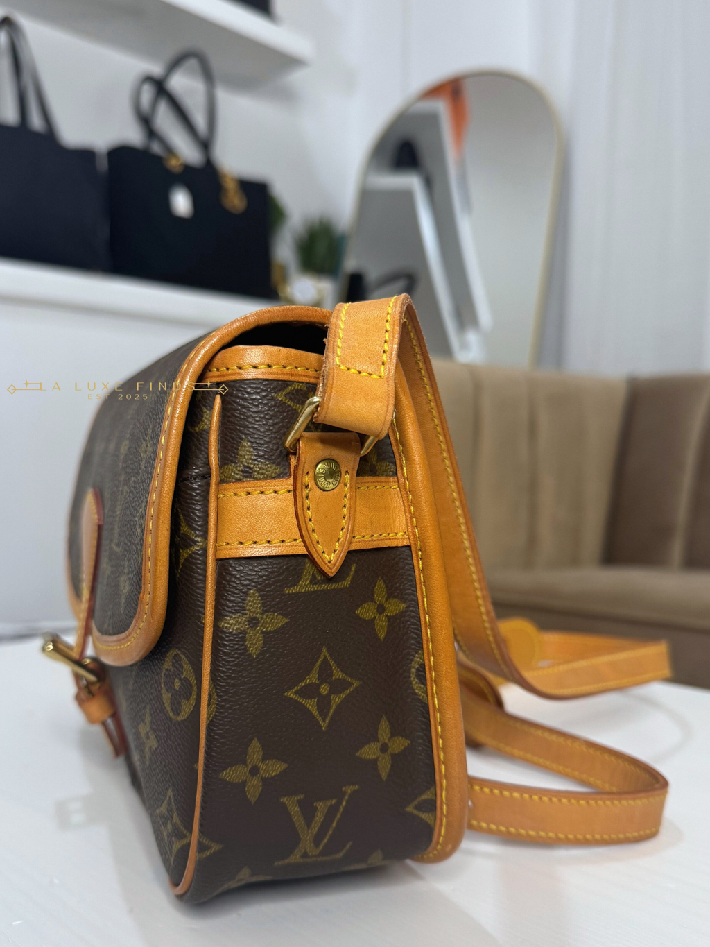 LOUIS VUITTON Sologne