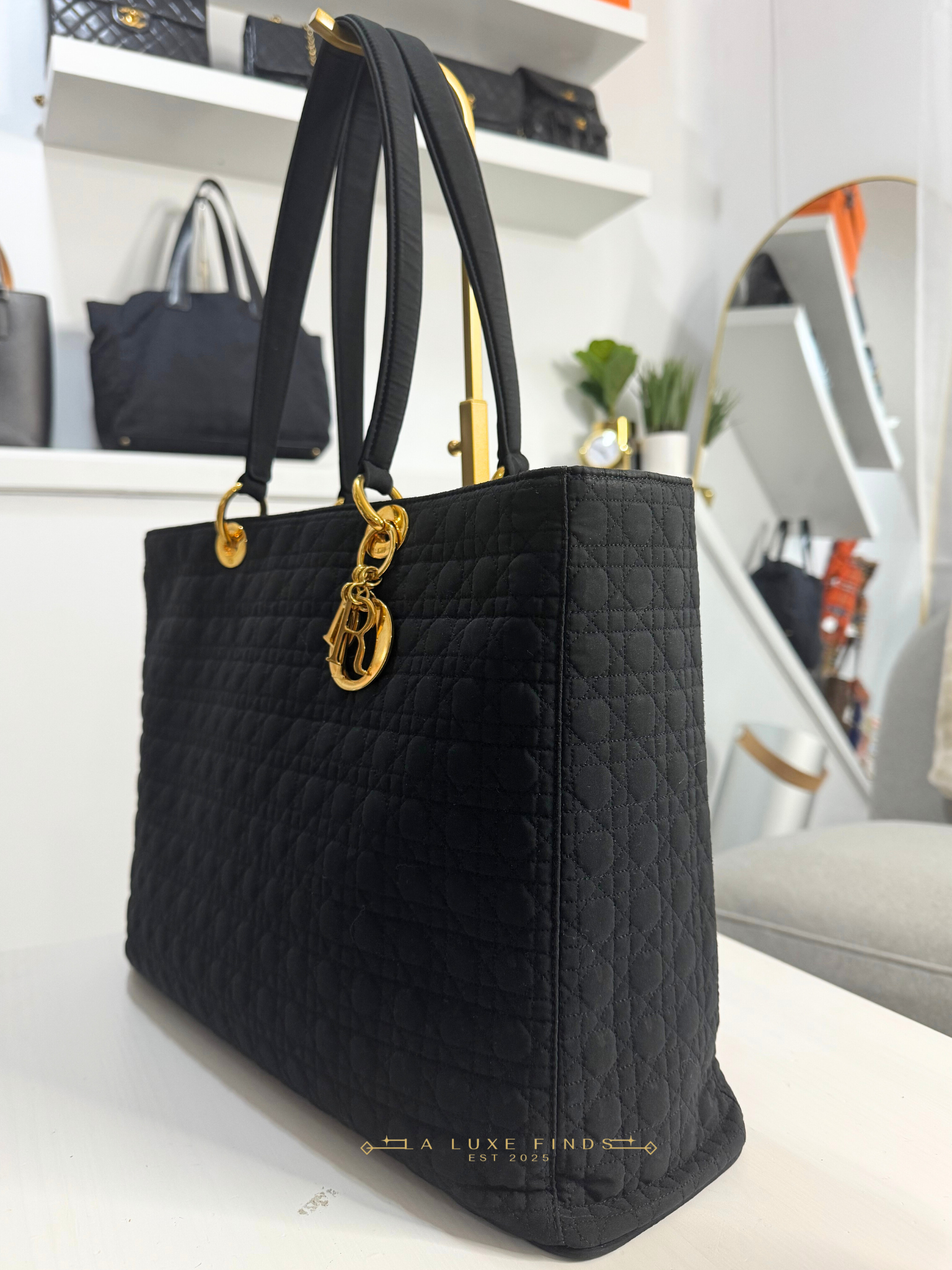 DIOR Lady Cannage Tote Bag