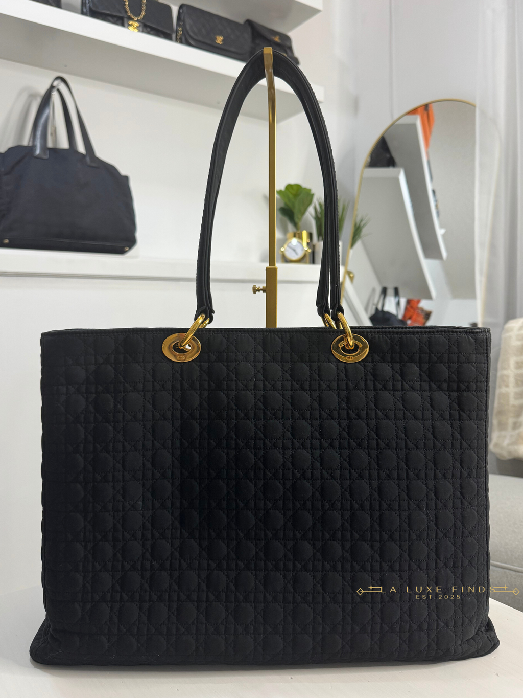DIOR Lady Cannage Tote Bag