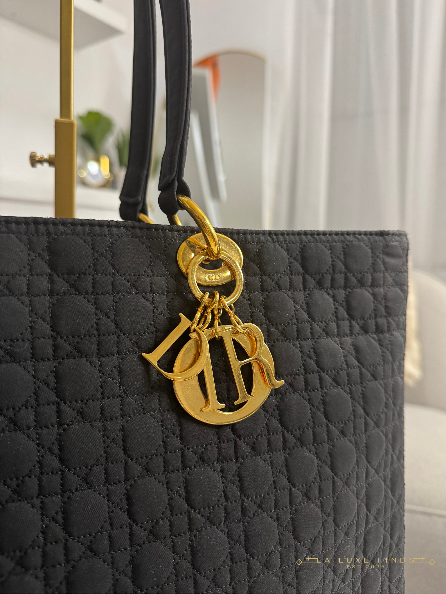 DIOR Lady Cannage Tote Bag