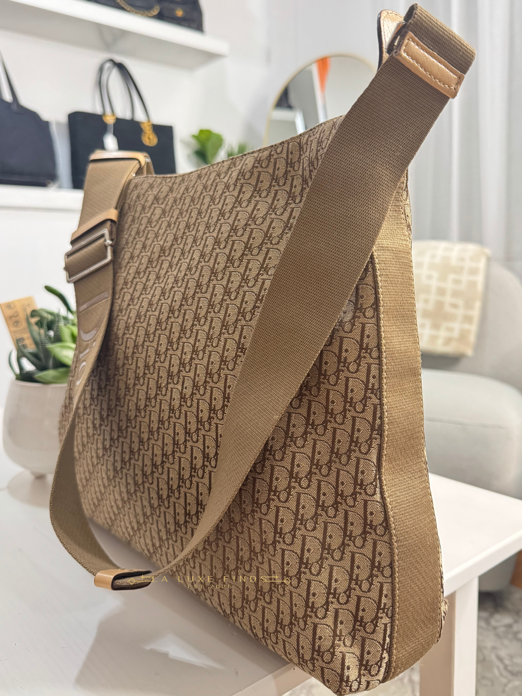 DIOR Vintage Trotter Messenger Bag