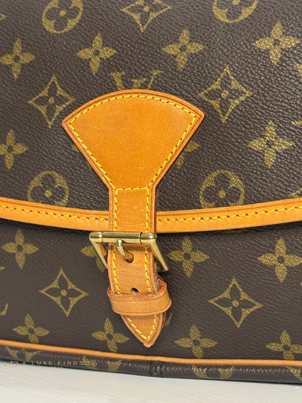 LOUIS VUITTON Sologne