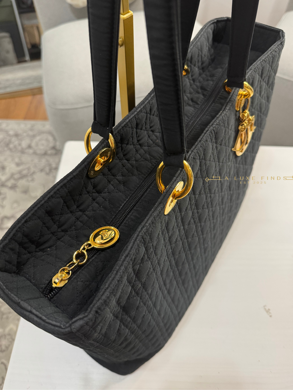 DIOR Lady Cannage Tote Bag