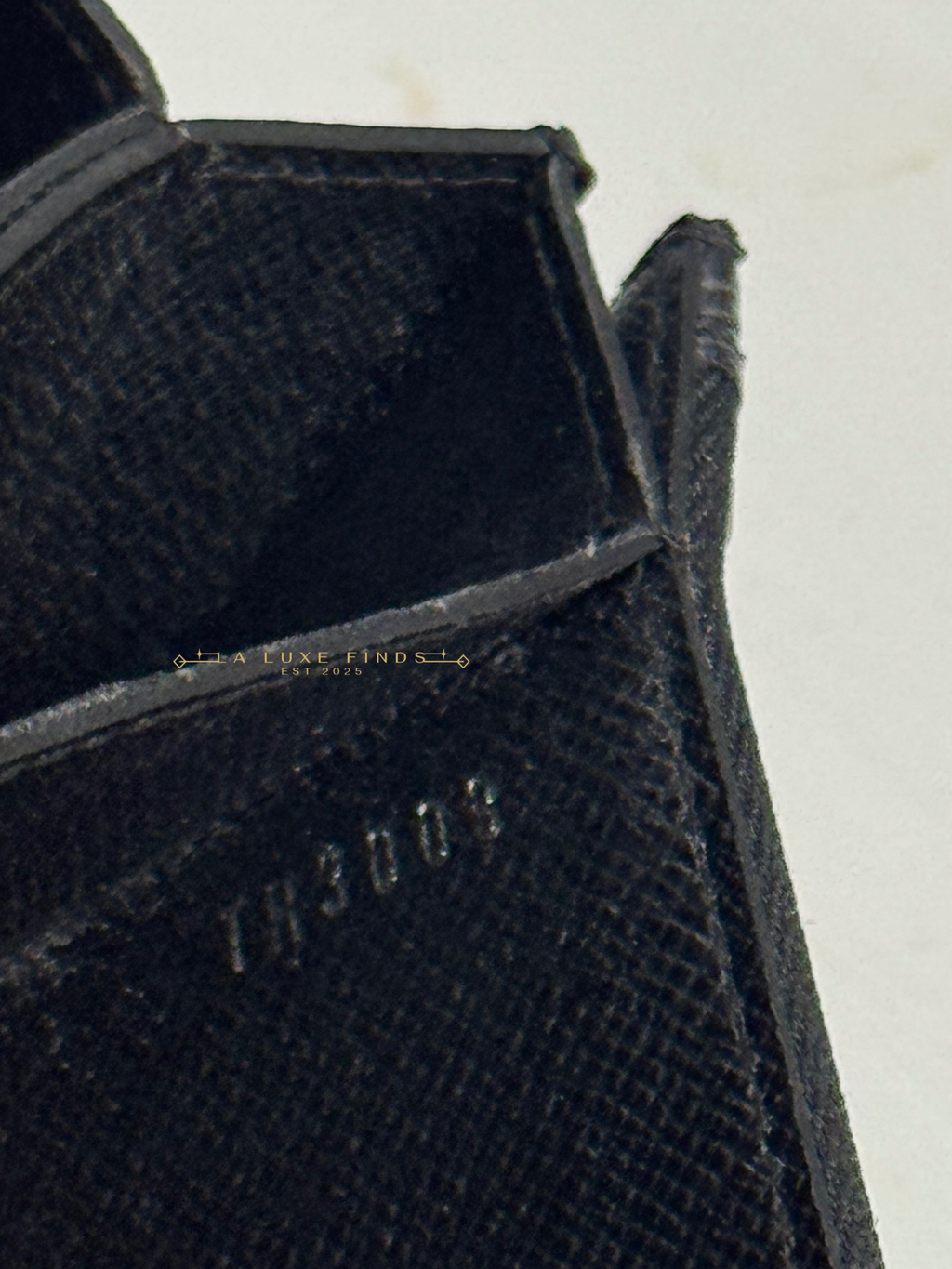 LOUIS VUITTON Graphite Accordion