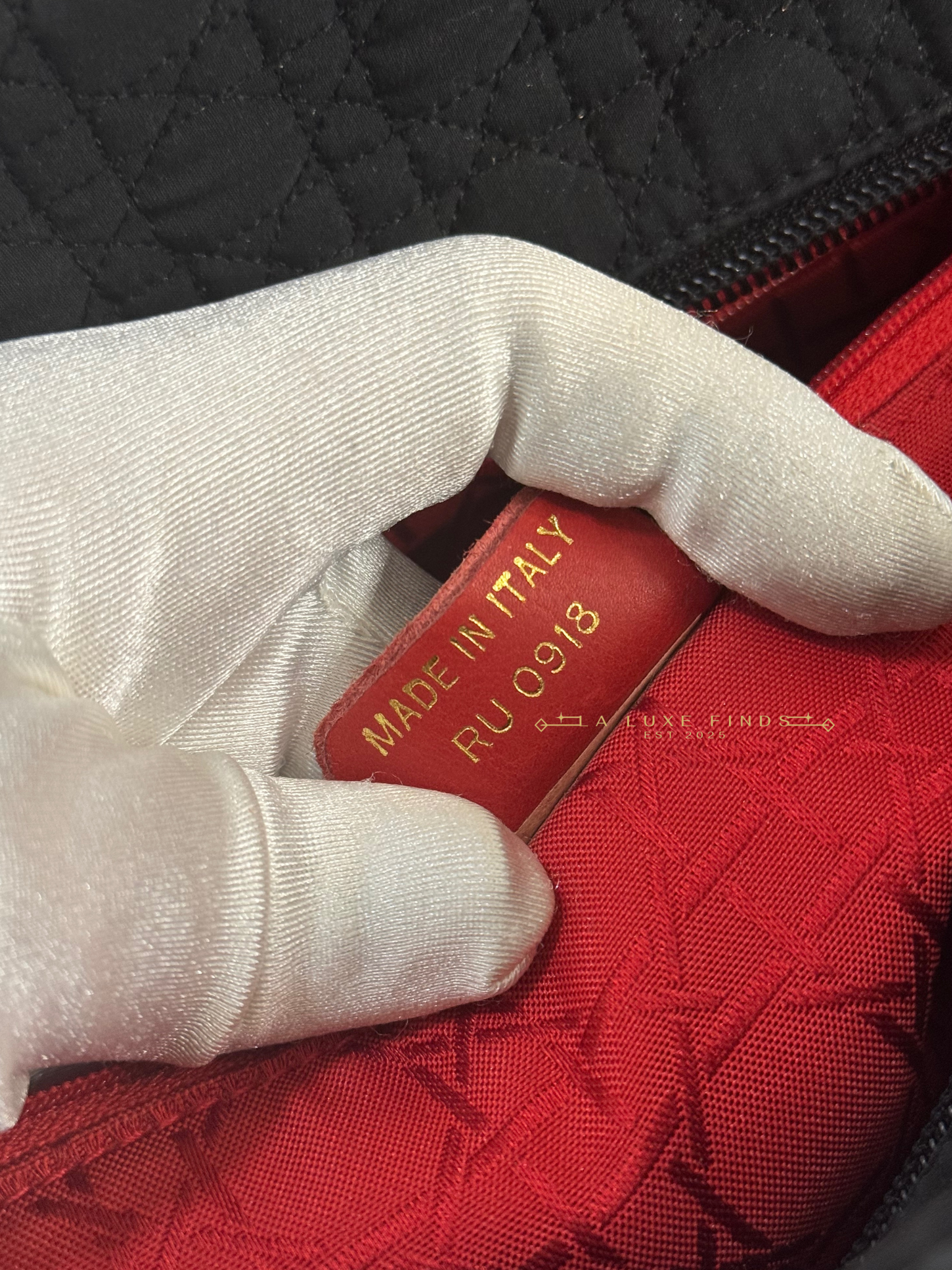 DIOR Lady Cannage Tote Bag