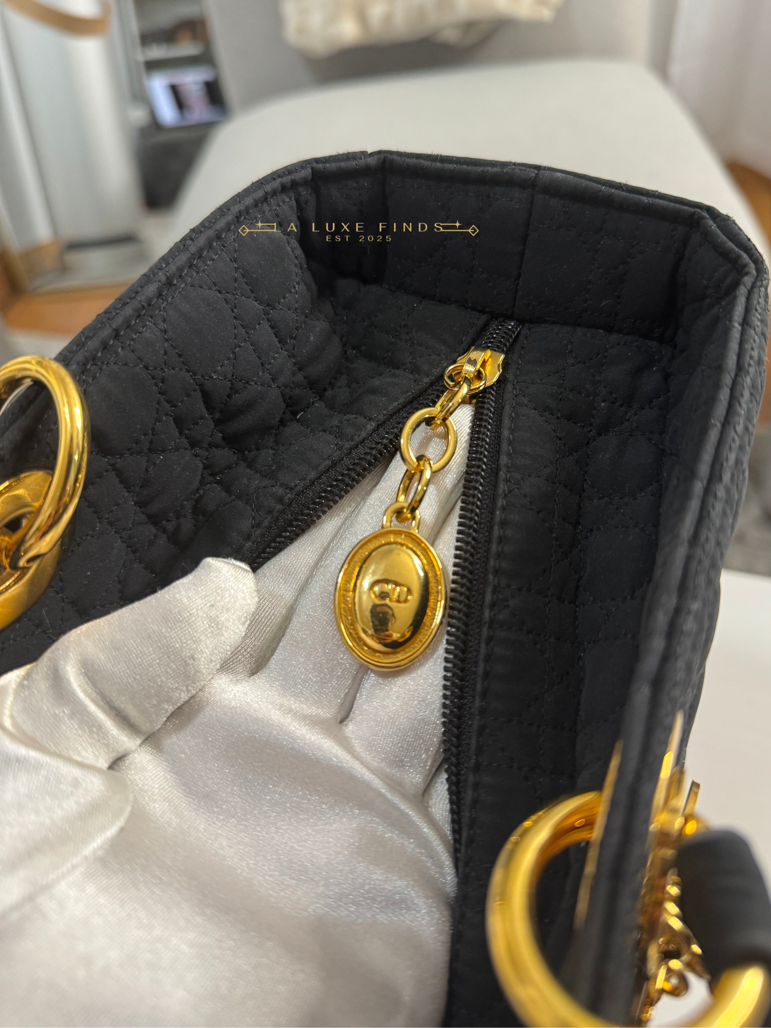 DIOR Lady Cannage Tote Bag