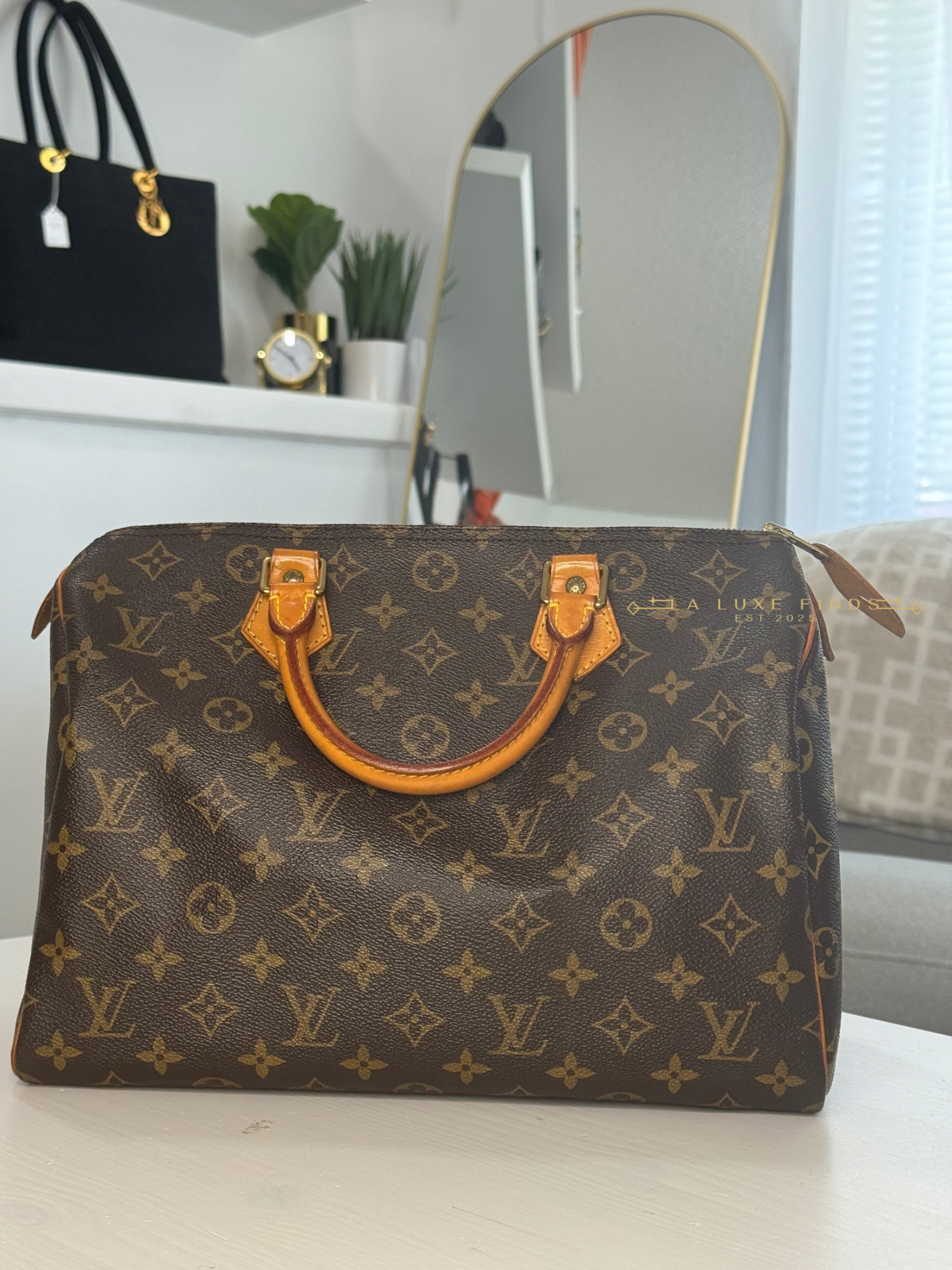 LOUIS VUITTON Monogram Speedy 30